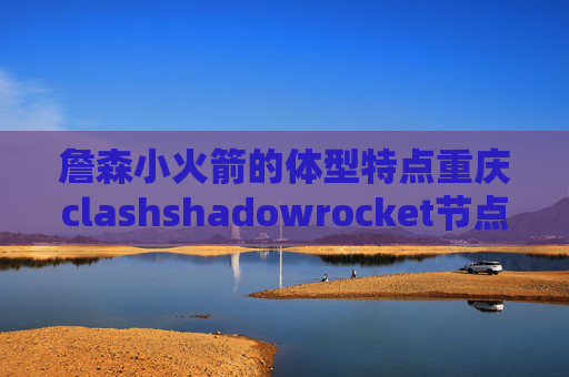 詹森小火箭的体型特点重庆clashshadowrocket节点 威锋