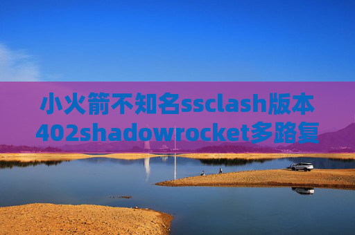 小火箭不知名ssclash版本402shadowrocket多路复用