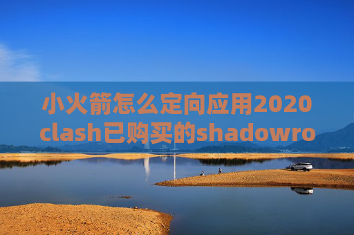 小火箭怎么定向应用2020clash已购买的shadowrocket