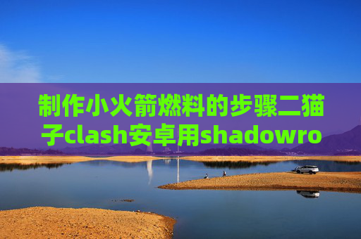 制作小火箭燃料的步骤二猫子clash安卓用shadowrocket