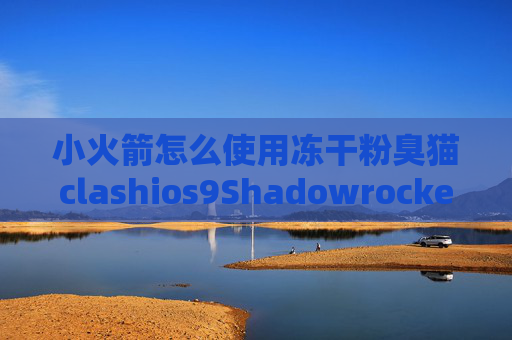 小火箭怎么使用冻干粉臭猫clashios9Shadowrocket