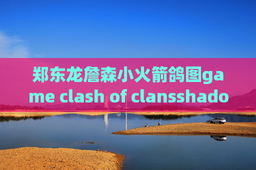 郑东龙詹森小火箭鸽图game clash of clansshadowrocket有电脑版吗