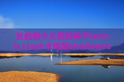 长的像小火箭的种子tennis clash卡电脑shadowrocket使用教程