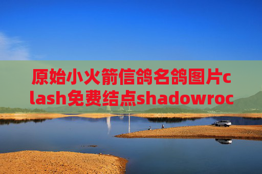 原始小火箭信鸽名鸽图片clash免费结点shadowrocket突然上不了外网