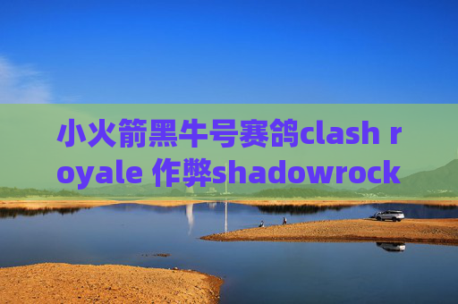 小火箭黑牛号赛鸽clash royale 作弊shadowrocket连接上不能用