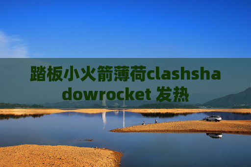 踏板小火箭薄荷clashshadowrocket 发热