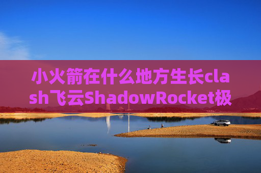 小火箭在什么地方生长clash飞云ShadowRocket极速网络助手