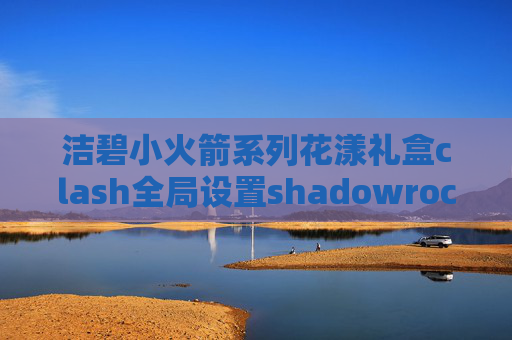 洁碧小火箭系列花漾礼盒clash全局设置shadowrocket安卓版下载教程