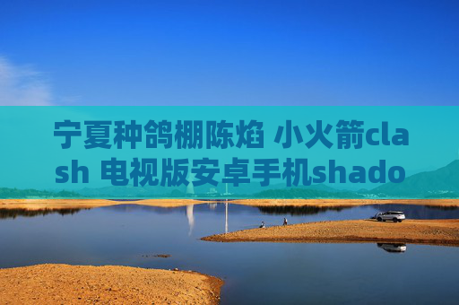 宁夏种鸽棚陈焰 小火箭clash 电视版安卓手机shadowrocket怎么下载