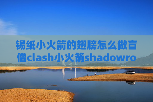 锡纸小火箭的翅膀怎么做盲僧clash小火箭shadowrocket无id版