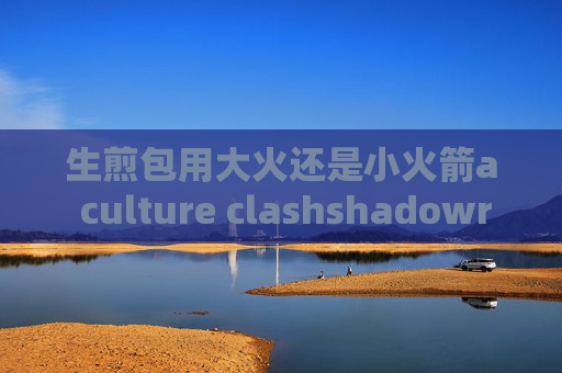 生煎包用大火还是小火箭a culture clashshadowrocket安卓免费版