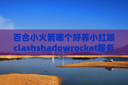 百合小火箭哪个好养小红娘clashshadowrocket服务器怎么配置