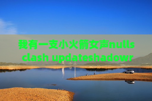 我有一支小火箭女声nulls clash updateshadowrocket换L2TP