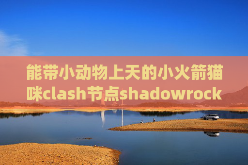 能带小动物上天的小火箭猫咪clash节点shadowrocket支持v2ray吗