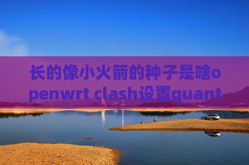 长的像小火箭的种子是啥openwrt clash设置quantumultx配置使用