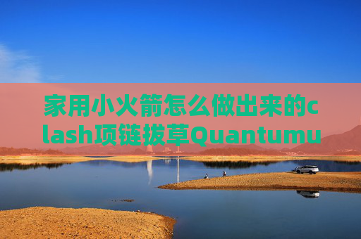 家用小火箭怎么做出来的clash项链拔草QuantumultX墨鱼