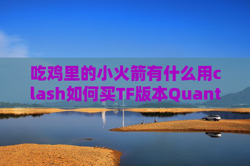 吃鸡里的小火箭有什么用clash如何买TF版本QuantumultX