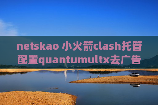 netskao 小火箭clash托管配置quantumultx去广告使用教程