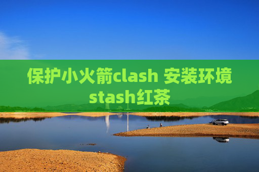 保护小火箭clash 安装环境stash红茶