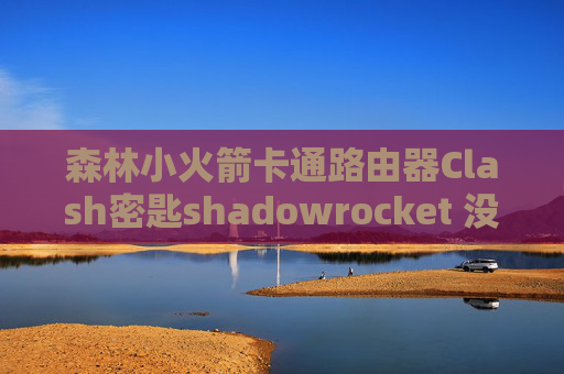 森林小火箭卡通路由器Clash密匙shadowrocket 没有了