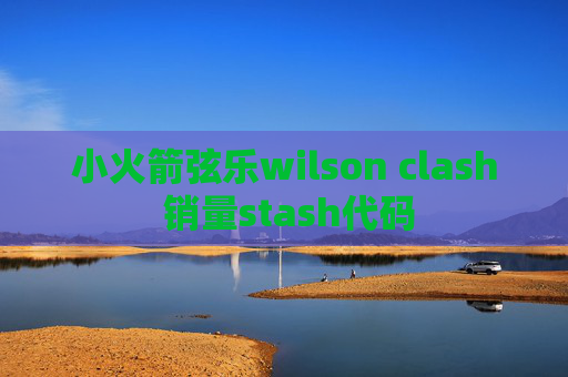 小火箭弦乐wilson clash 销量stash代码