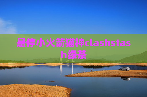 悬停小火箭猫神clashstash绿茶