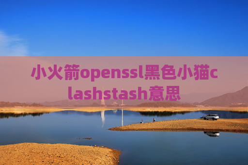 小火箭openssl黑色小猫clashstash意思