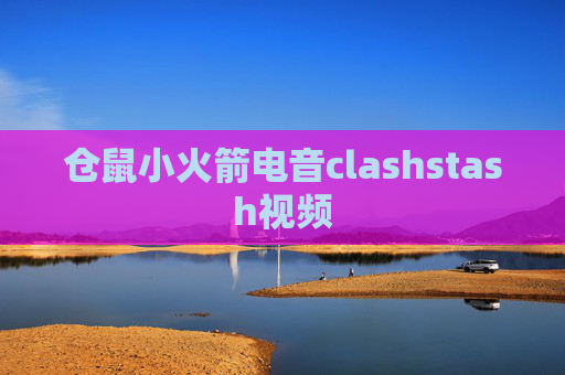 仓鼠小火箭电音clashstash视频