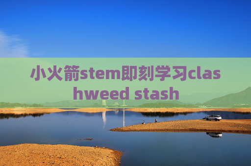 小火箭stem即刻学习clashweed stash