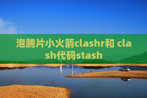 泡腾片小火箭clashr和 clash代码stash