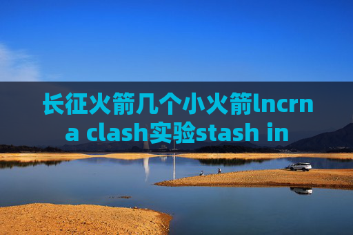 长征火箭几个小火箭lncrna clash实验stash in