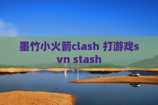 墨竹小火箭clash 打游戏svn stash