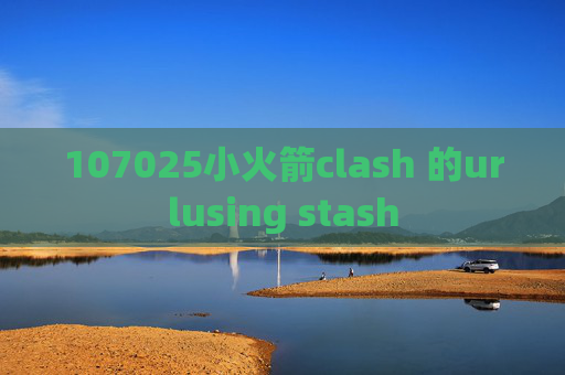 107025小火箭clash 的urlusing stash