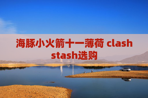 海豚小火箭十一薄荷 clashstash选购