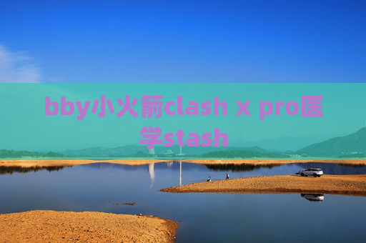 bby小火箭clash x pro医学stash