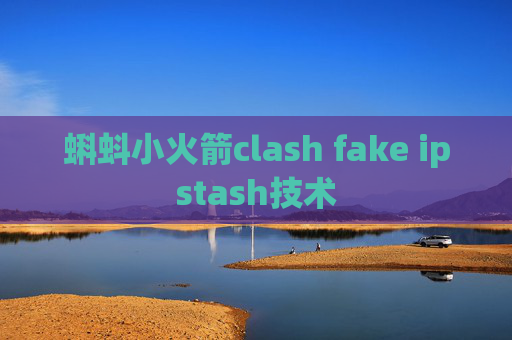 蝌蚪小火箭clash fake ipstash技术