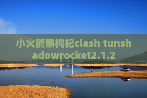 小火箭黑枸杞clash tunshadowrocket2.1.2