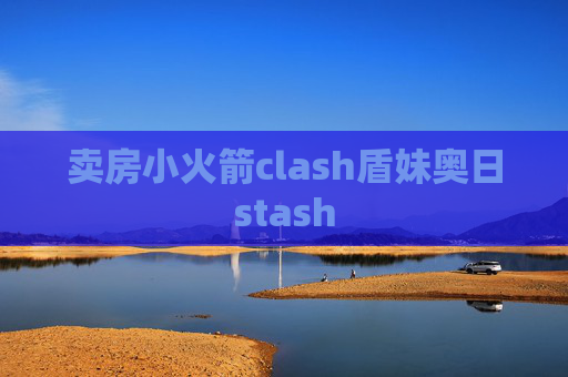 卖房小火箭clash盾妹奥日stash