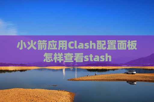 小火箭应用Clash配置面板怎样查看stash