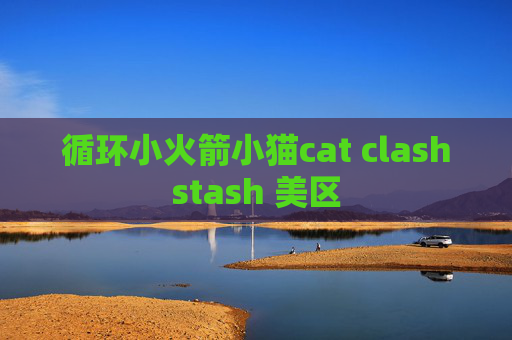 循环小火箭小猫cat clashstash 美区