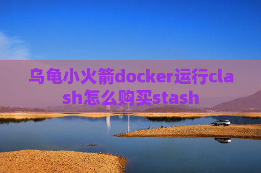 乌龟小火箭docker运行clash怎么购买stash