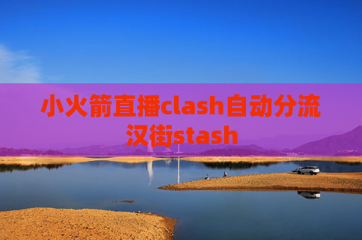 小火箭直播clash自动分流汉街stash