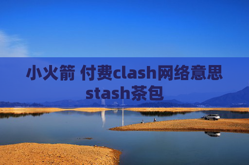 小火箭 付费clash网络意思stash茶包