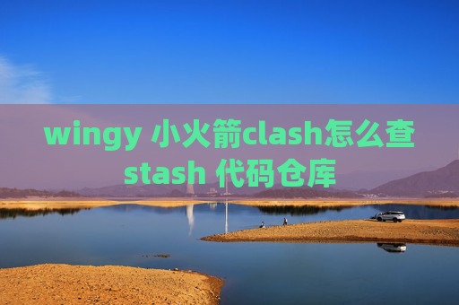 wingy 小火箭clash怎么查stash 代码仓库