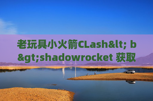 老玩具小火箭CLash< b>shadowrocket 获取按钮