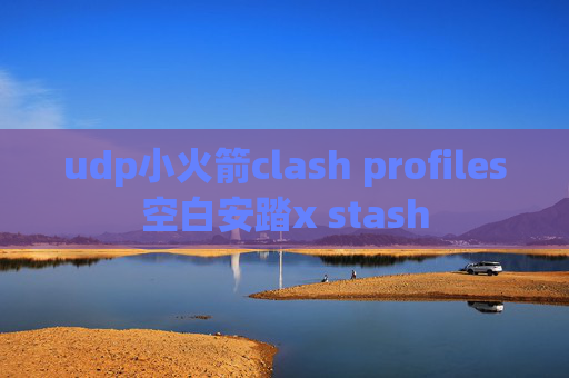 udp小火箭clash profiles空白安踏x stash