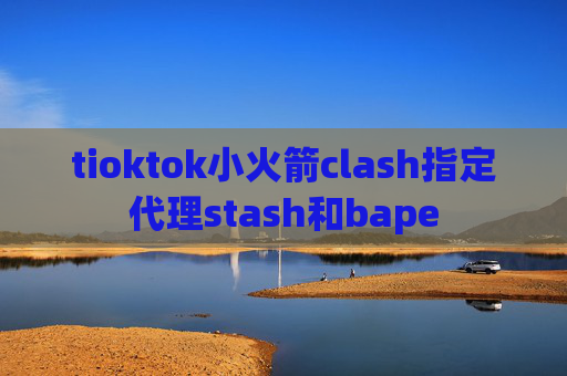 tioktok小火箭clash指定代理stash和bape