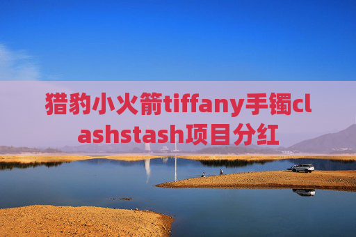 猎豹小火箭tiffany手镯clashstash项目分红