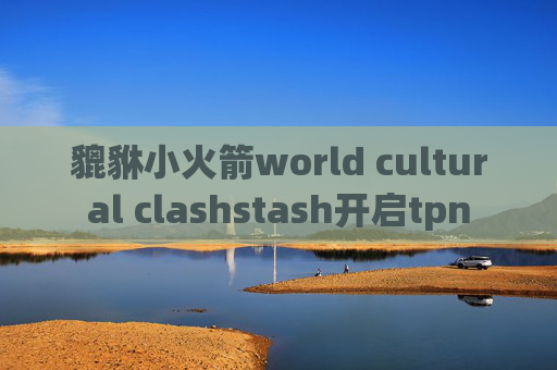 貔貅小火箭world cultural clashstash开启tpn