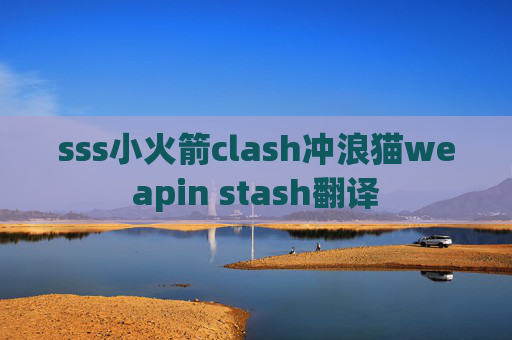 sss小火箭clash冲浪猫weapin stash翻译